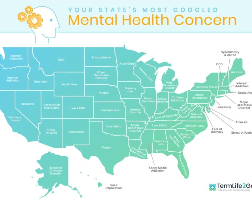 What are our mental health concerns?