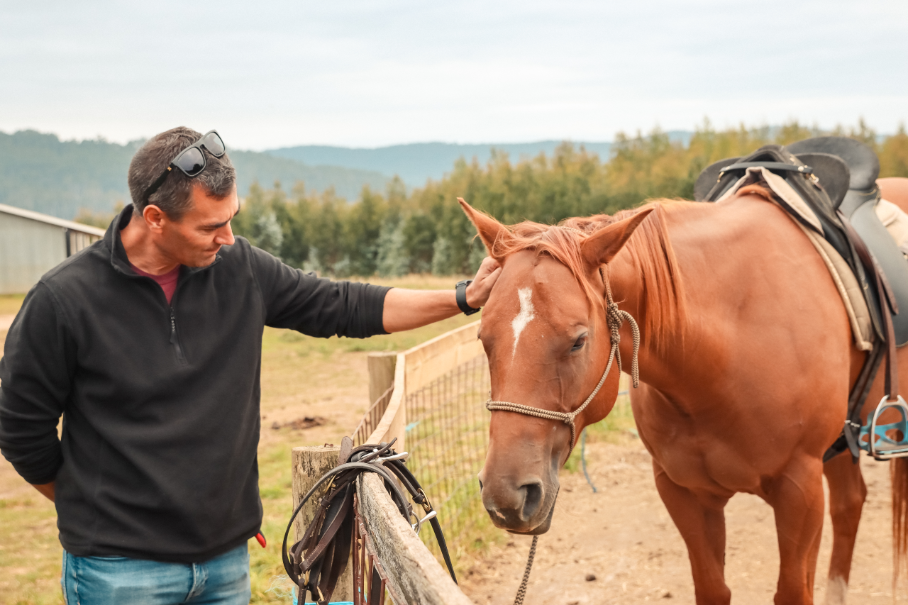 Male veteran experiencing equine therapy at Solara Mental Health in San Diego, CA