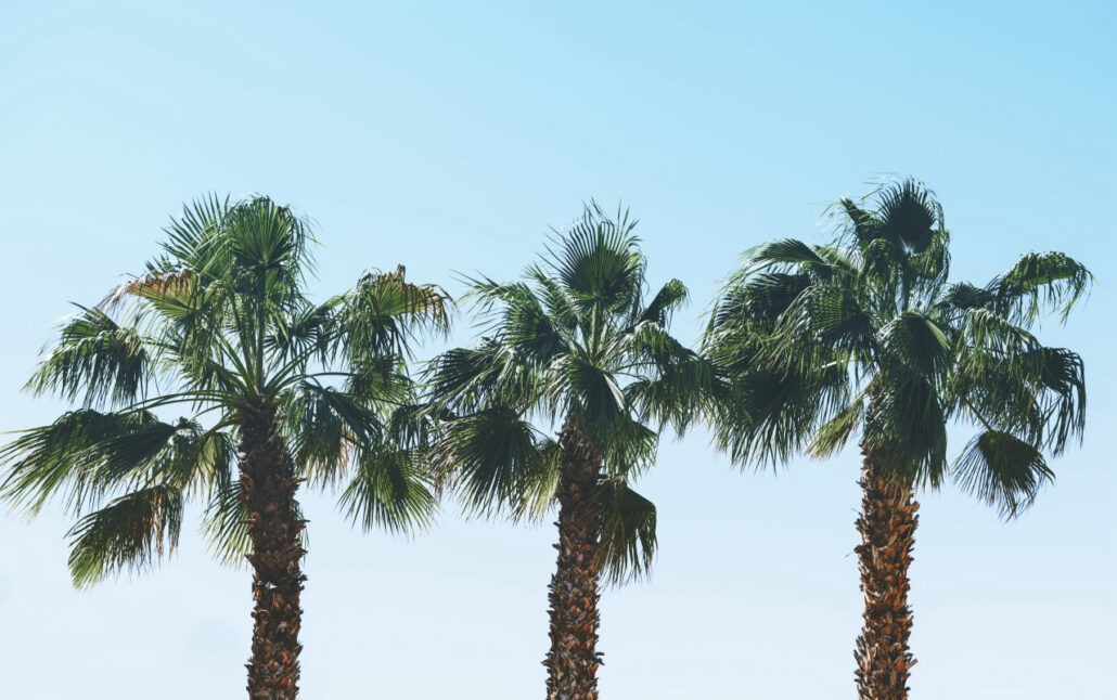wellness retreats in california