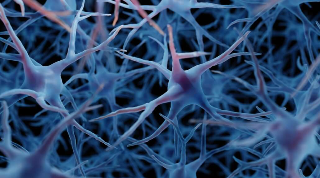 TransCranial Magnetic Stimulation