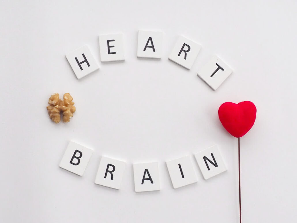 heart brain communication