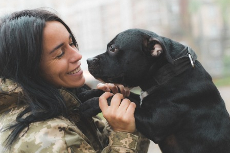 Veteran Service Animals in San Diego CA